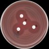 Streptococcus pyogenes, erytromycin citlivý